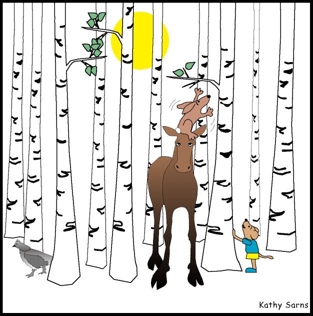 Moose and friends in mature birch stand trying to get leaves that are out of reach