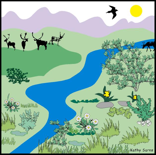 Tundra scene with caribou and jaegers in distance, wolf and vole up close