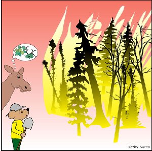 Cartoon vole and moose looking at burning forest