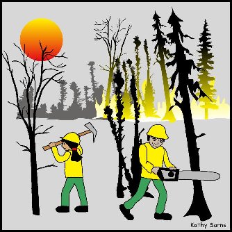 Man and woman firefighters working in a forest