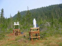 Site Photograph