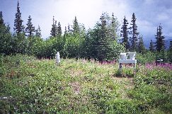Site Photograph