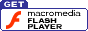 flash logo