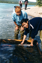 Hands-on salmon science with Alaska Native Interns.  Photographer: Carol A. Woody.
