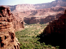 Supai Village from the air, located in Havasu Canyon, Havasupai Reservation.  Photographer: Robert Hart.