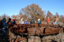 Intertribal Environmental Council field trip, Oklahoma.  he bull wheel in the foreground was used to operate multiple pumps from a central engine.  Photographer: Kathy D. Peter, USGS.