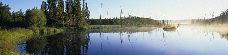 Boreal wetland