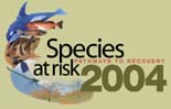 Species at Risk logo