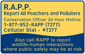 Report All Poachers and Polluters