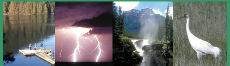 Bienvenue - Welcome / La Voie verte - The Green Lane