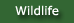 Wildlife Issues