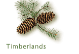 Timberlands