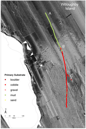 Link to Figure 4 