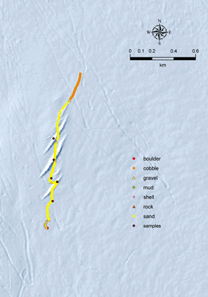 Link to Figure 5 