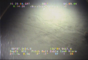 Link to Image A 