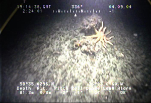 Link to Image B 