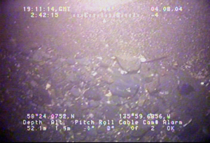 Link to Image F 