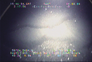 Link to Image G
