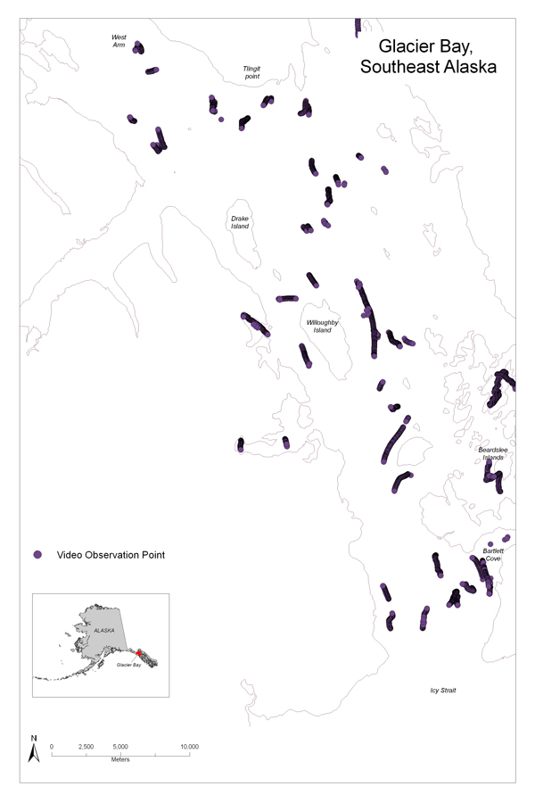 Map showing video observations locations in central Glacier Bay including an inset of the State of Alaska.