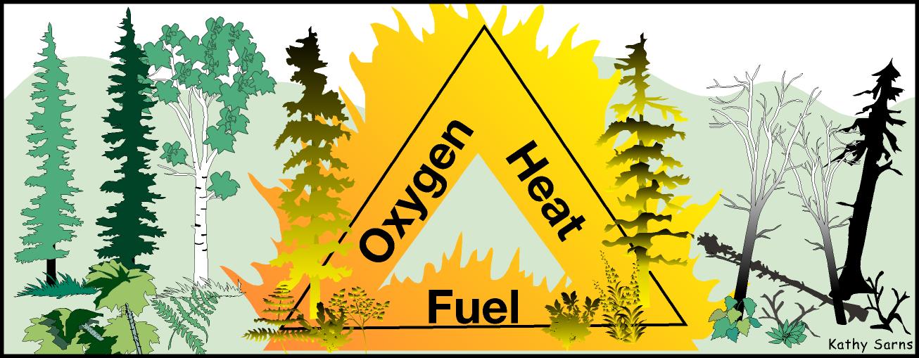 Oxygen, heat and fuel = Fire Triangle