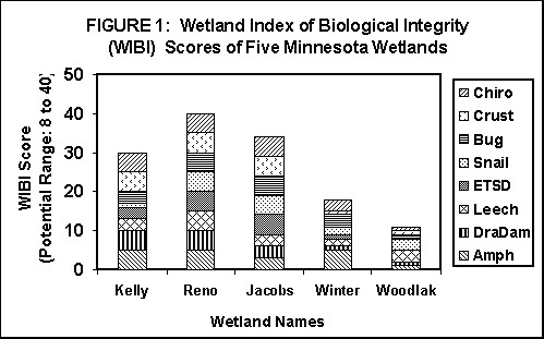 WIBI Scores of Five Minnesota Wetlands