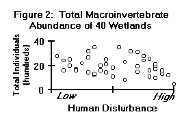 Total Macroinvertebrate Abundance of 40 Wetlands