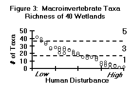 Macroinvertebrate Taxa Richness of 40 Wetlands