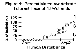 Percent Macroinvertebrate Tolerant Taxa of 40 Wetlands