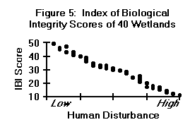 IBI Scores of 40 Wetlands