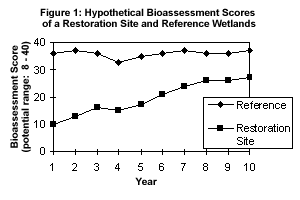 Hypothetical Bioassessment Scores of a Restoration Site and Reference Wetlands