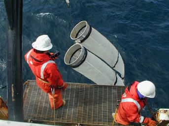 photo of bongo net deployment