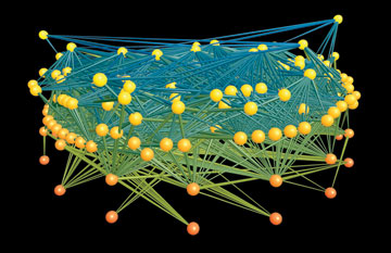 abstraction of aleutian food web
