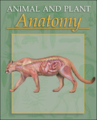 Animal and Plant Anatomy