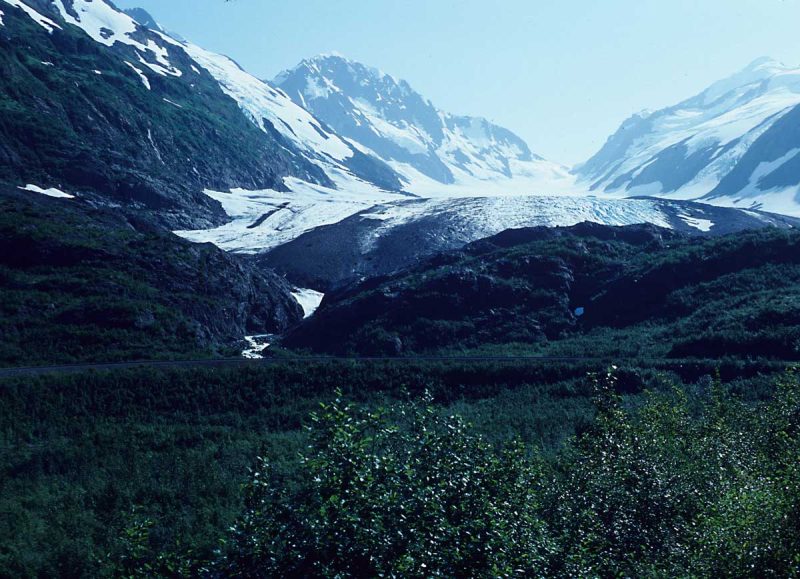 View of Seward C-6 – the Loop District.